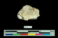 藏品(方解石)的圖片